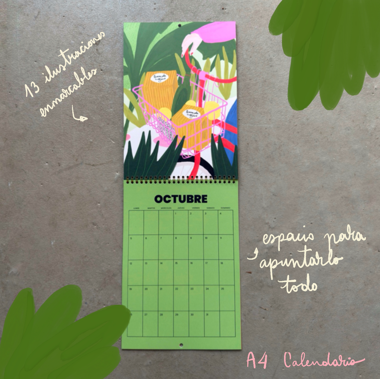 Calendario de pared ilustrado 2026